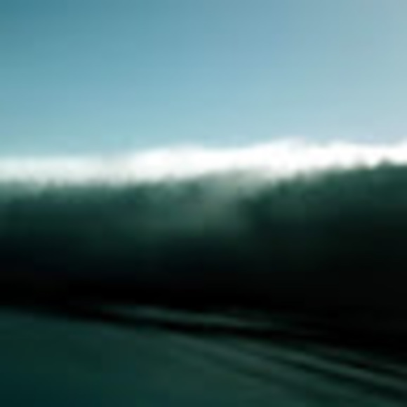 Meet your Posher, Tryn - Picture 1 of 1